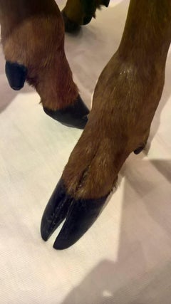 Coppia di tavolini rustici con gambe tassidermizzate