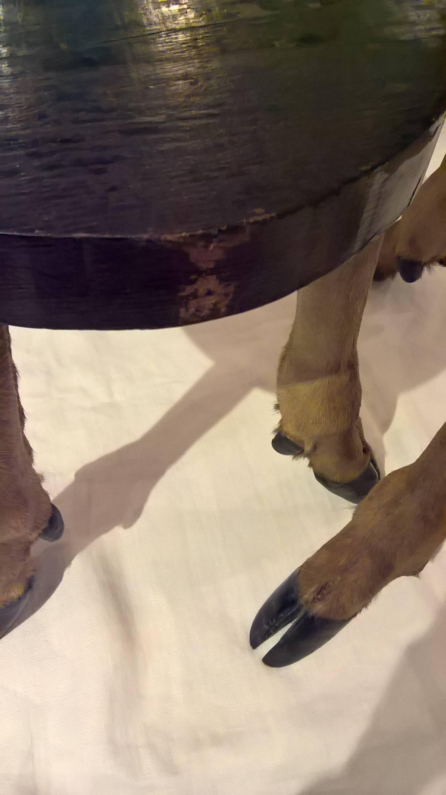 Belgian Rustic Pair of Side Tables with Taxidermy Legs