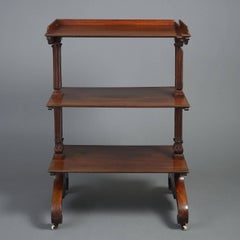 Early 19th Century William IV Mahogany Etagere or Dumb Waiter