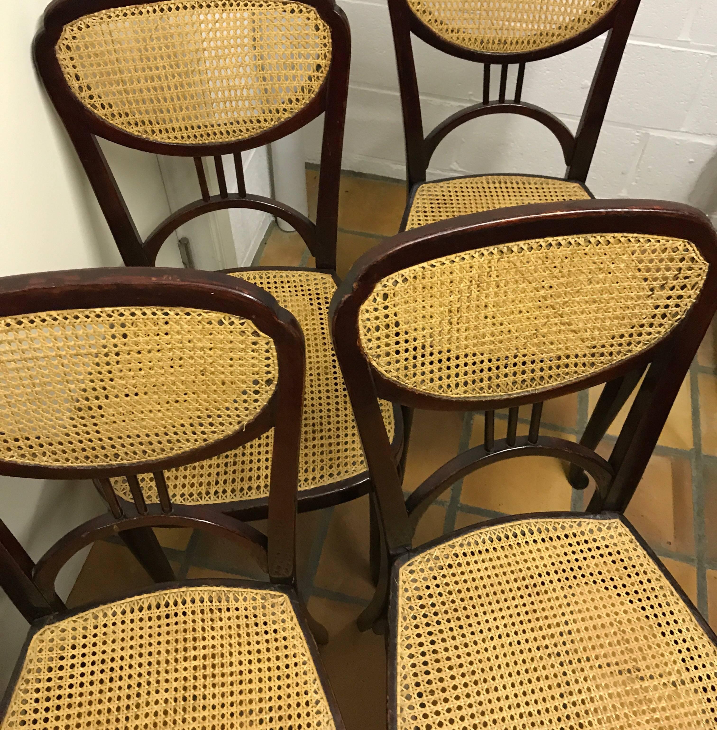 Jugendstil or Art Nouveau Thonet Chairs in  Catalogue of 1910 , Set of 4  In Excellent Condition For Sale In Diest, Vlaams Brabant