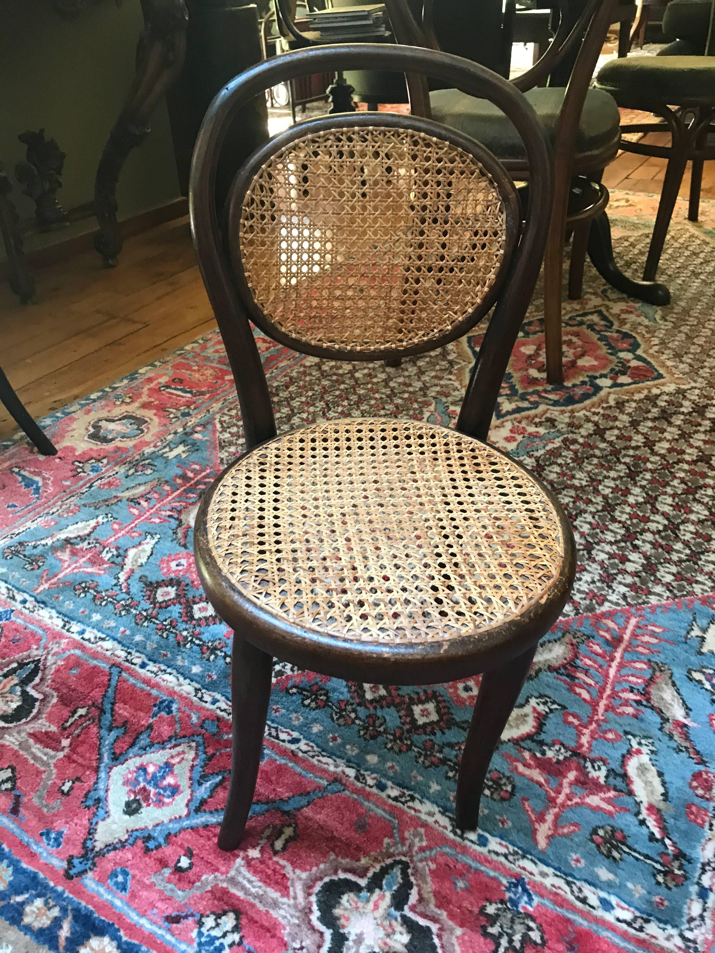 Austrian Thonet  bentwood Collection of Five   different Children’s Chairs, 1900 child For Sale