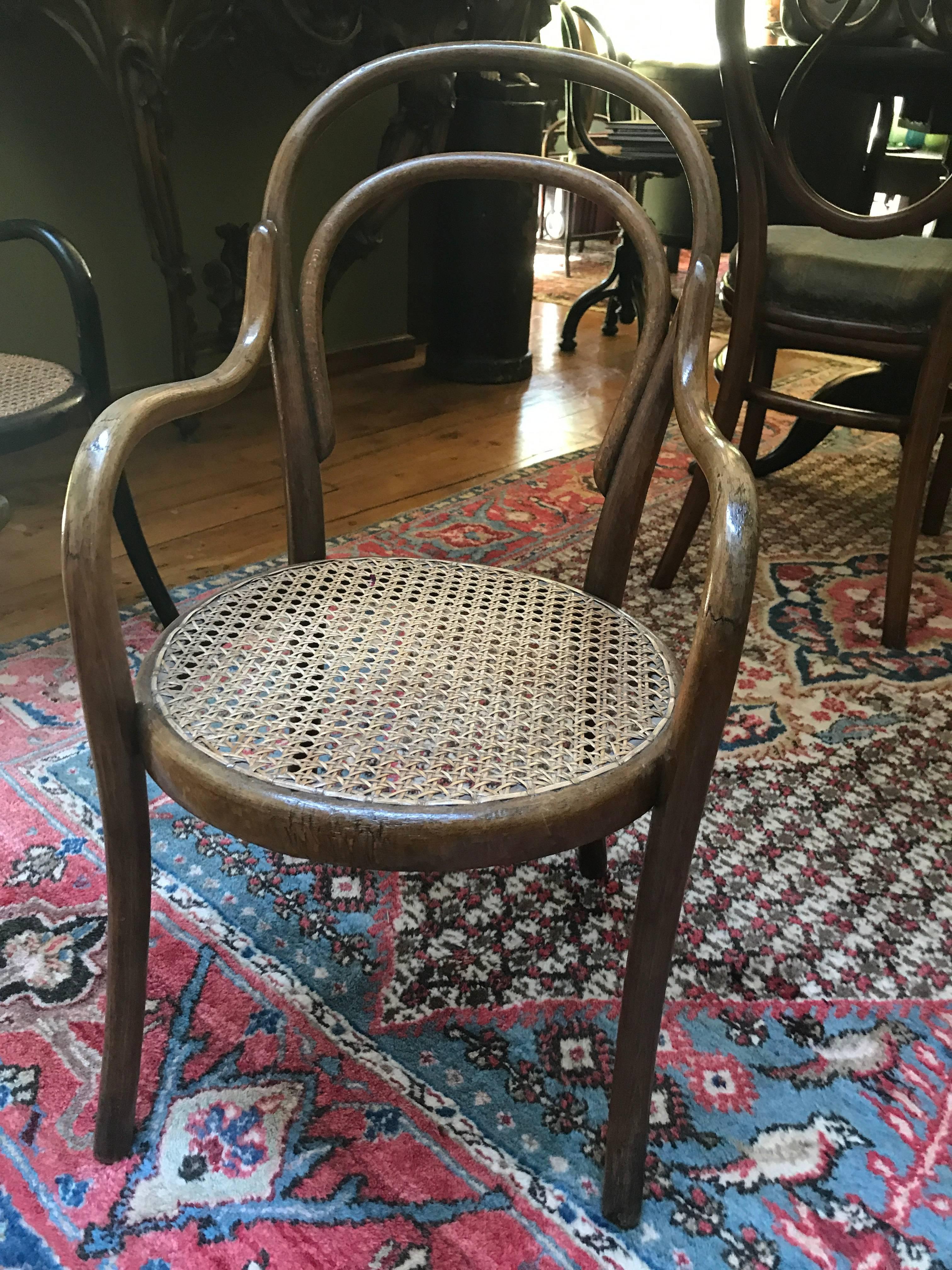 Thonet  bentwood Collection of Five   different Children’s Chairs, 1900 child In Good Condition For Sale In Diest, Vlaams Brabant