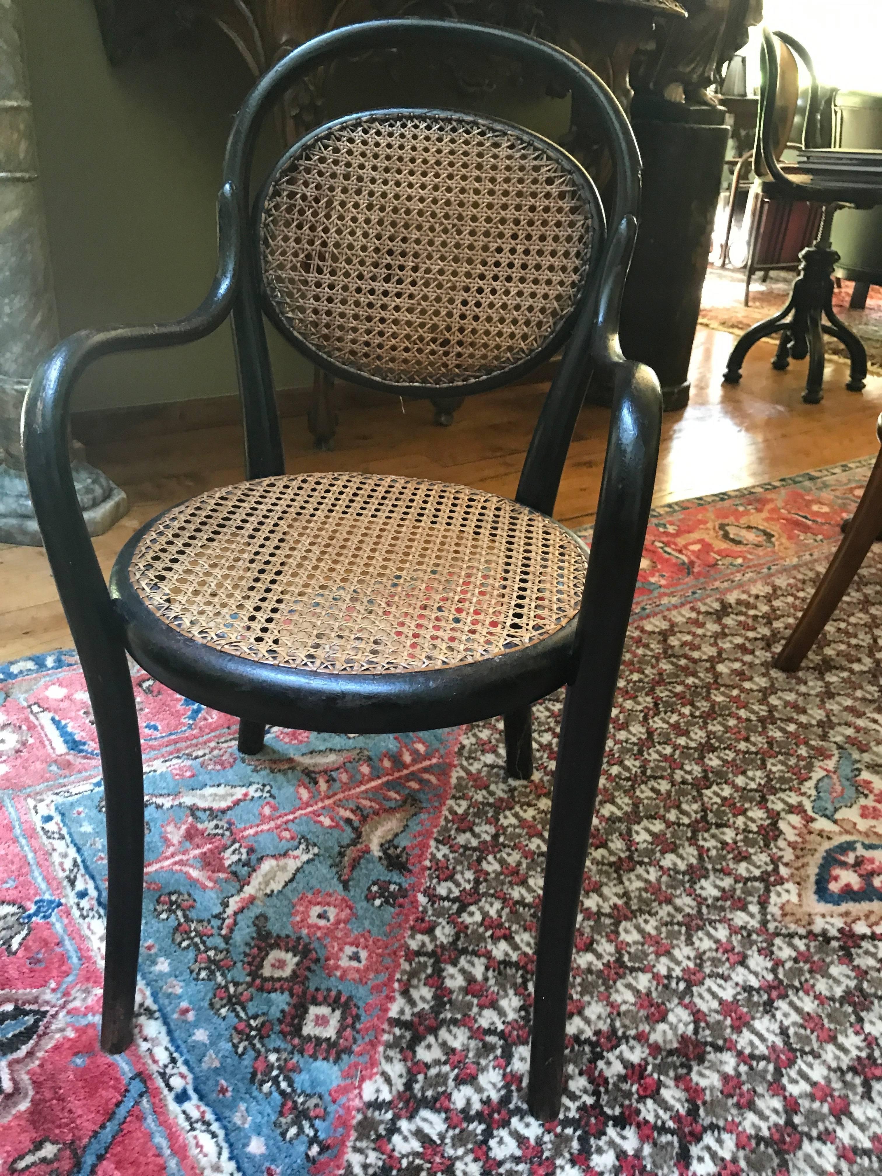 Early 20th Century Thonet  bentwood Collection of Five   different Children’s Chairs, 1900 child For Sale