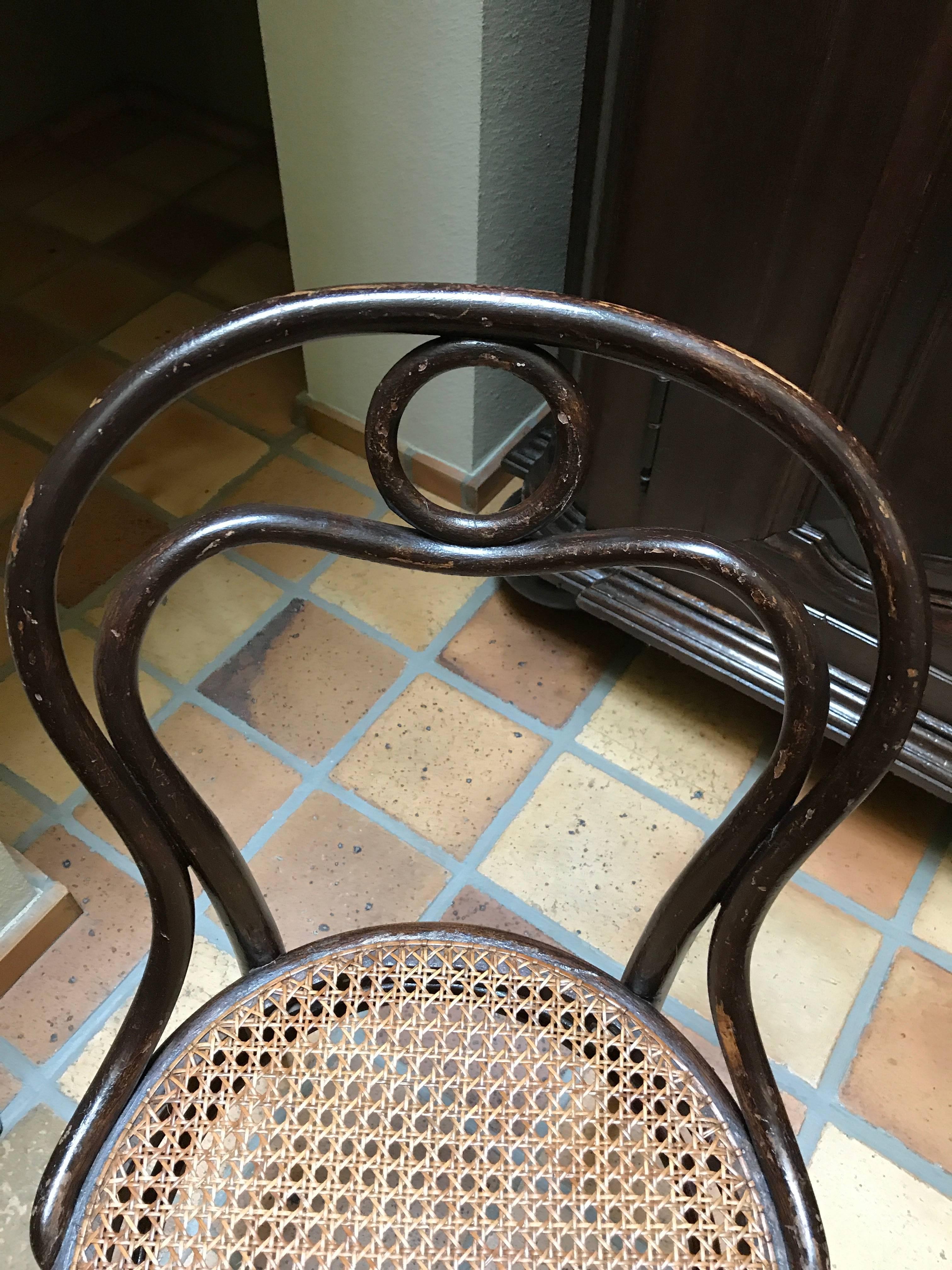 thonet bentwood chairs