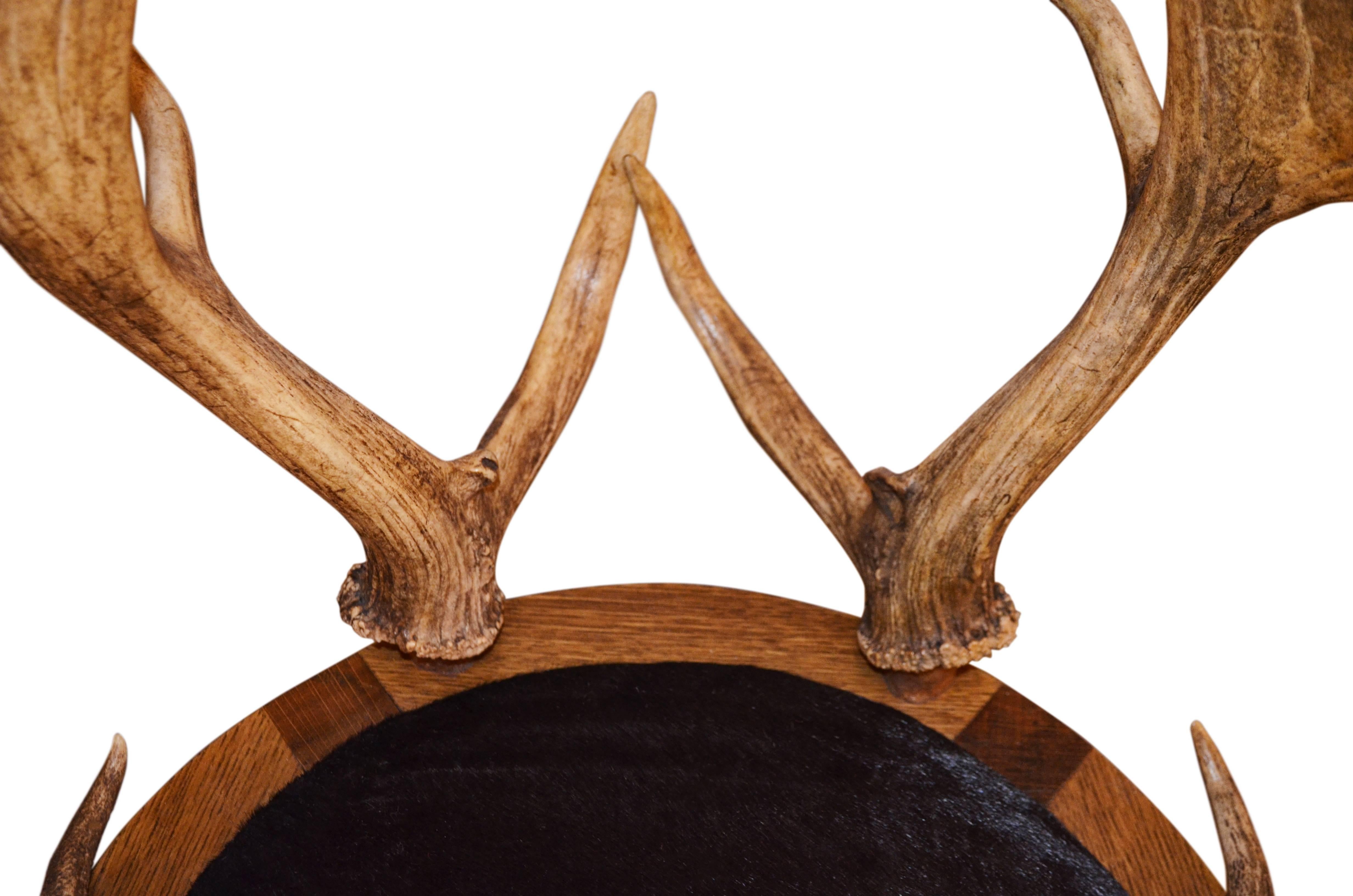 antler chair for sale