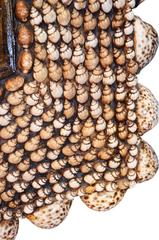 1970s Anthony Redmile Shell Mirror