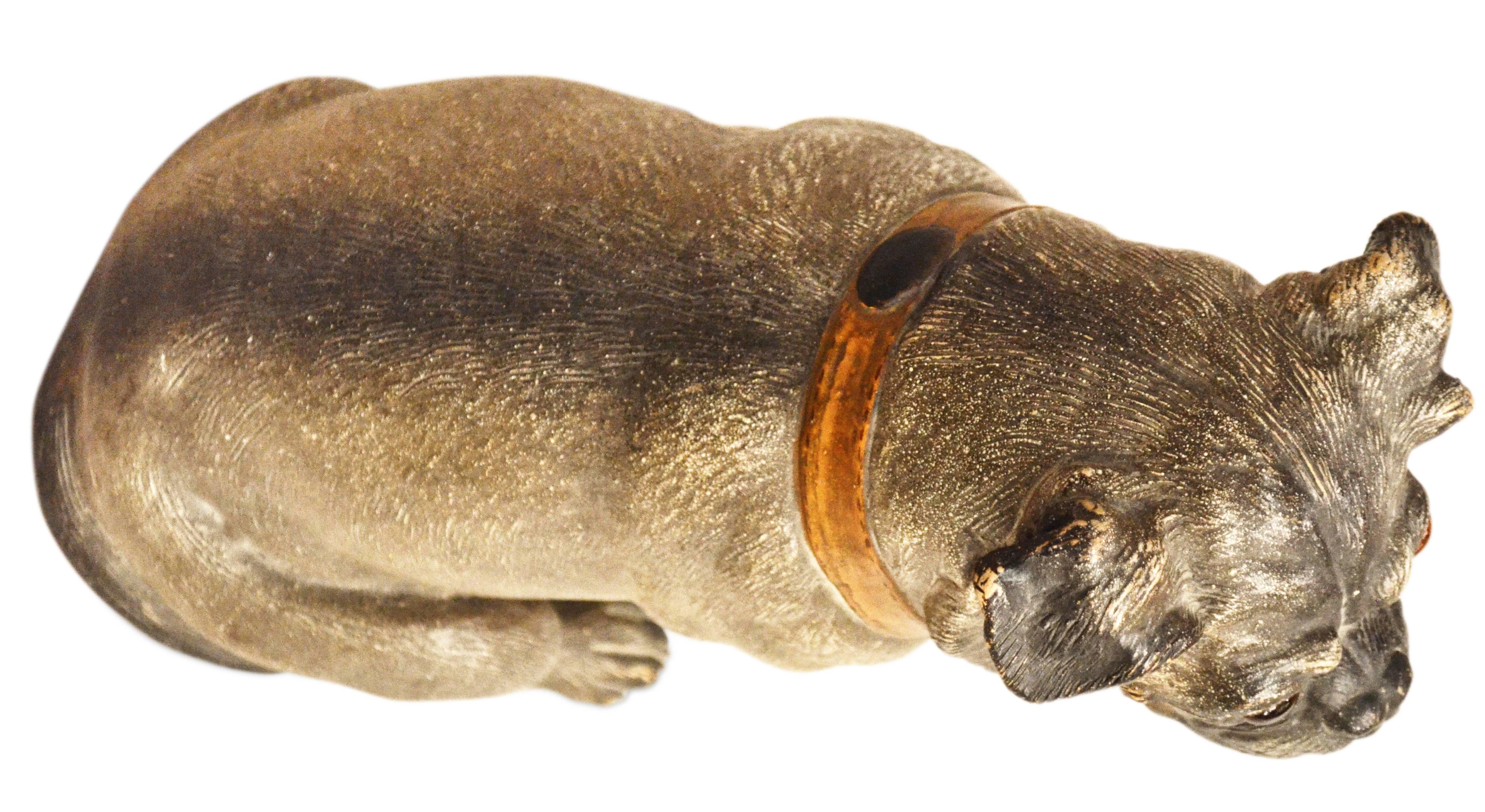 Austrian 19th Century Terracotta Pug For Sale 2