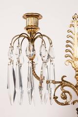 20th Century Ormolu Bronze Eagle Candelabra