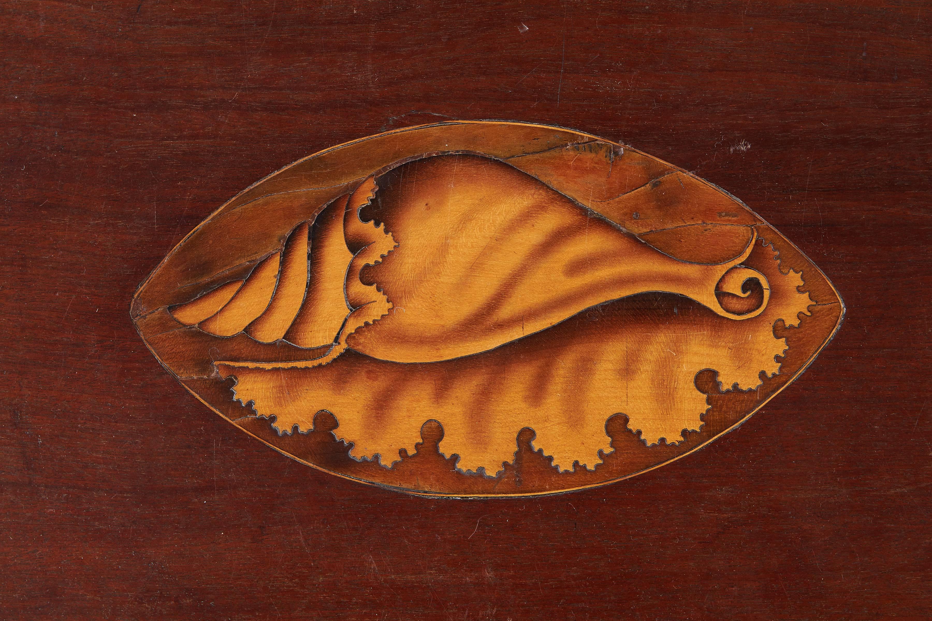 A large George III mahogany and sycamore marquetry oval tray
with central large marquetry conch shell and plain gallery.