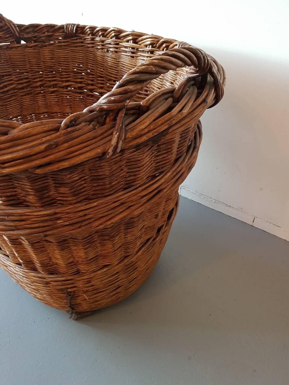 Vintage French Handcrafted Wicker Grape Basket from the Champagne Region 1