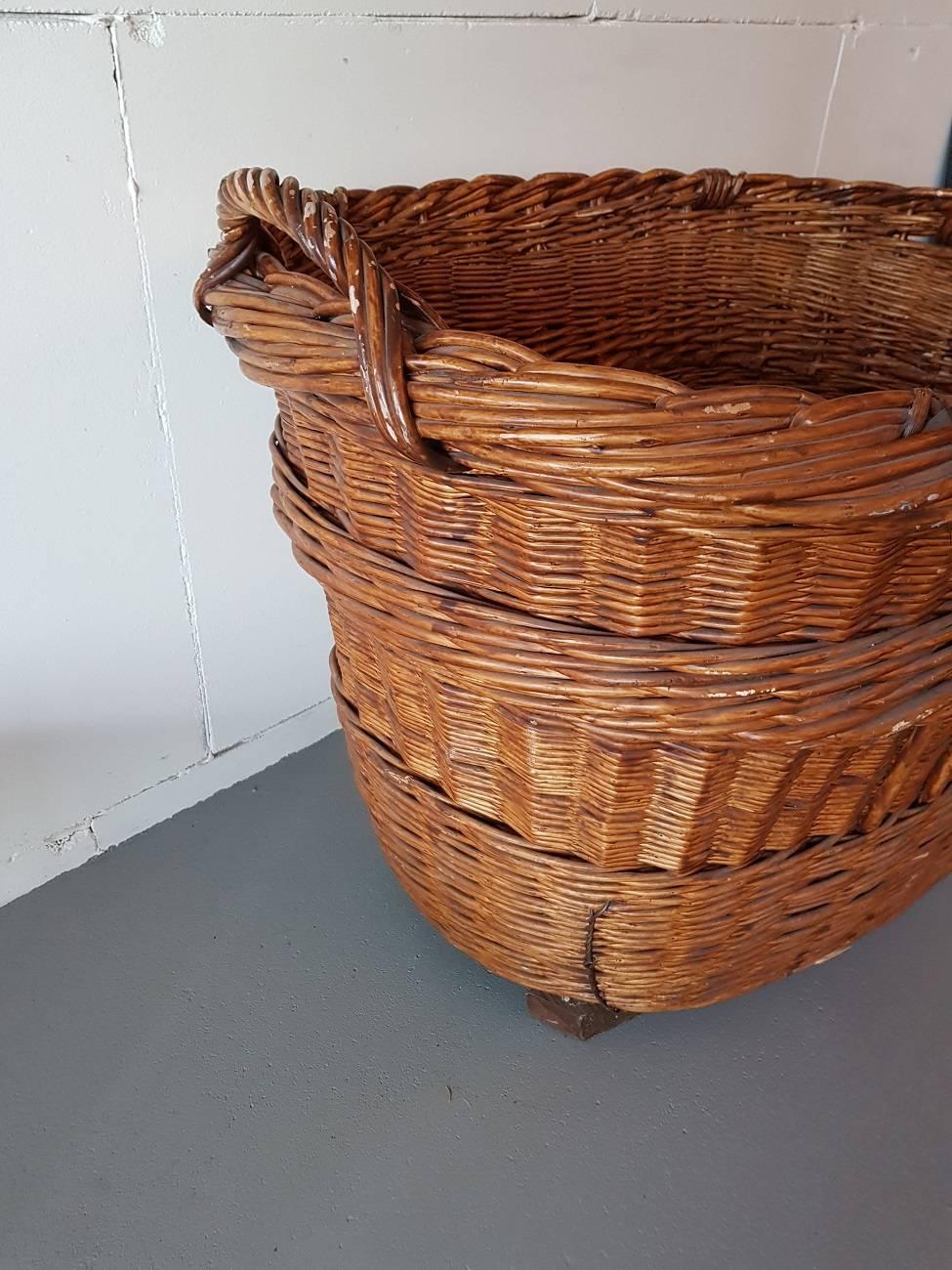 Vintage French Handcrafted Wicker Grape Basket from the Champagne Region In Excellent Condition In Raalte, NL