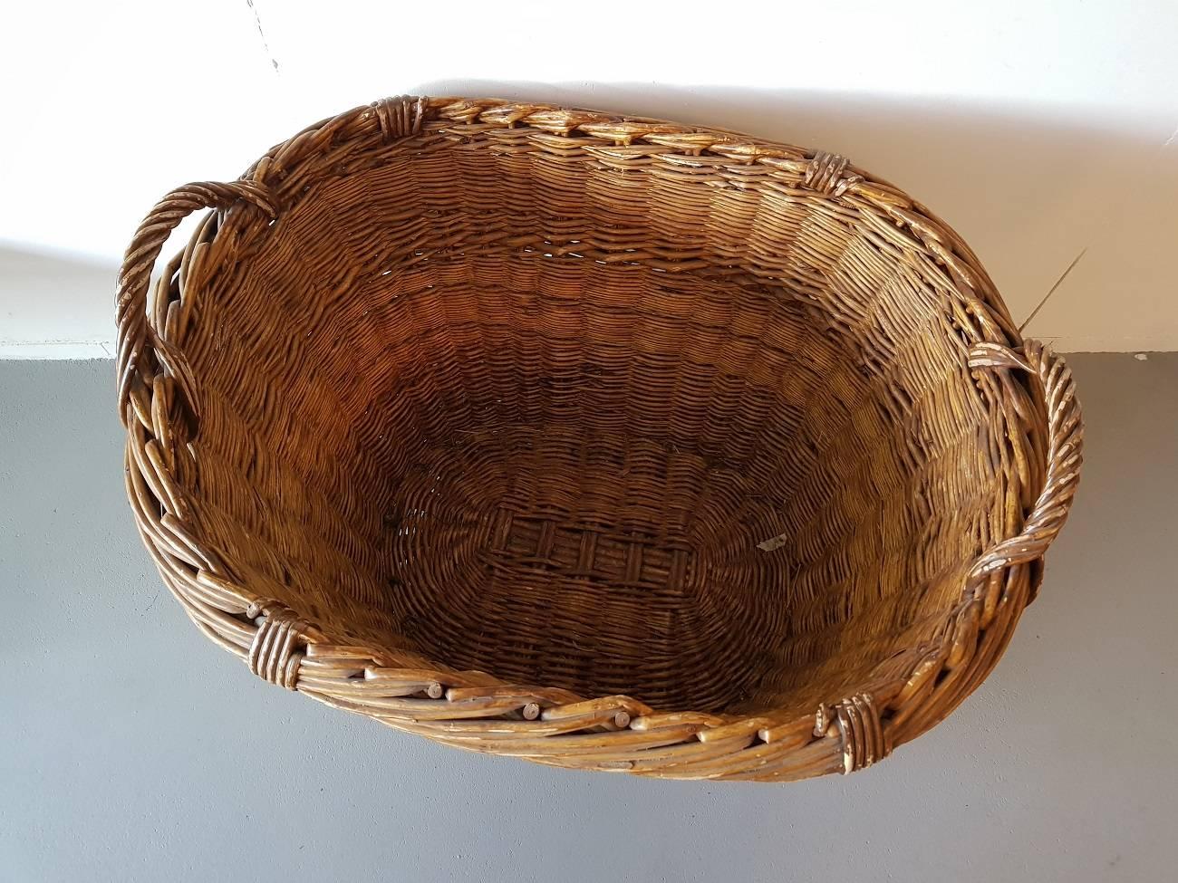 Beautiful French vintage handcrafted wicker grape basket made circa 1970s-1980s from the champagne region of Reims. This is in a good condition with wear by age and use.

The measurements are,
Depth 66 cm/ 25.9 inch.
Width 83 cm/ 32.6
