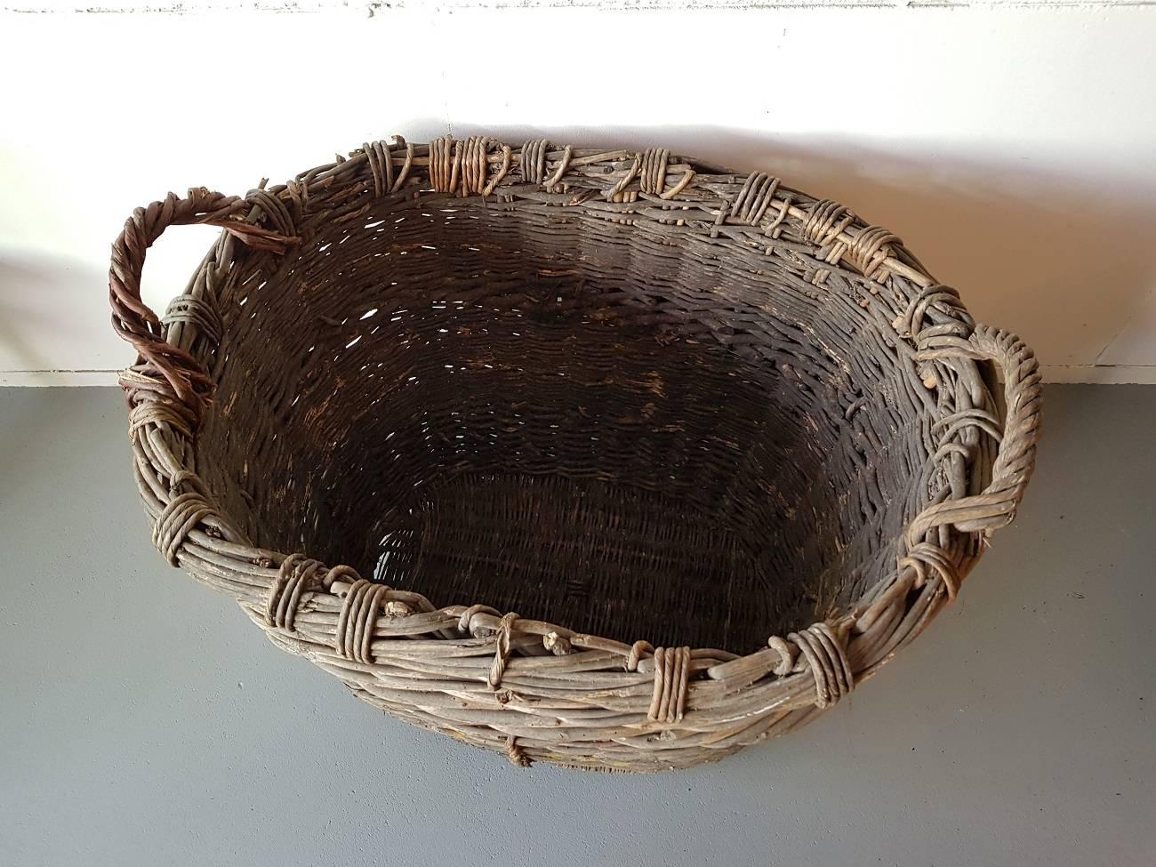 Hand-Crafted Vintage French Wicker Grape Basket Champagne Region