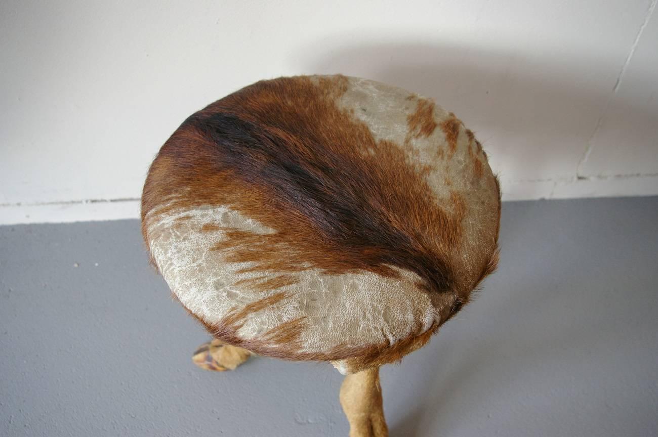 Vintage deer stool with deer fur as a cover from the 1960s of France. In a good condition, only the fur cover has a lot of wear, but a wonderful original object and a real eye catcher for any interior.

The measurements are:
Diameter 31 cm/ 12.2