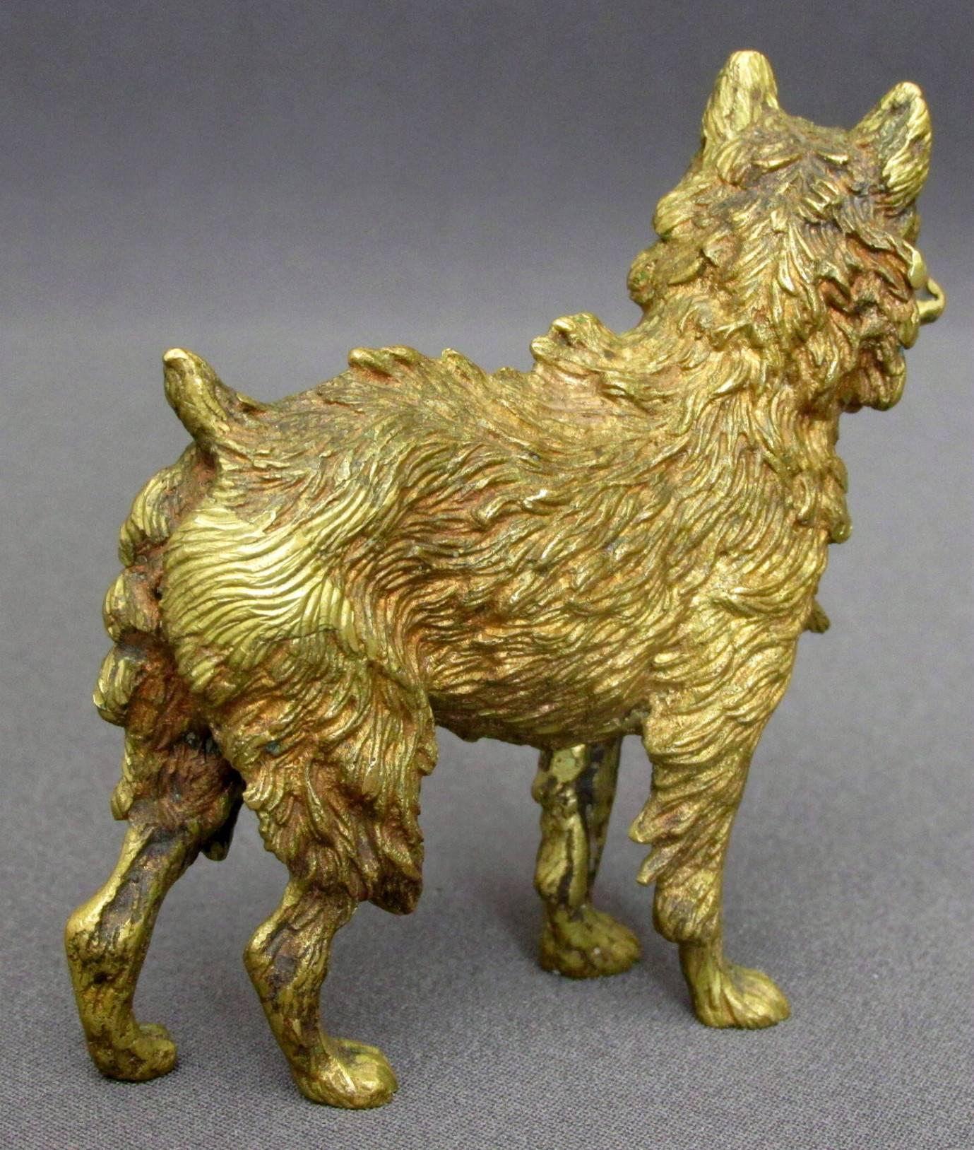The charming, realistically cast and finely chiselled gilt bronze model of a Brussels Griffon with a highly expressive face. The underside bearing impressed marks for Vienna together with makers marks STB (for Stefan Buchinger). 
Un-decorated