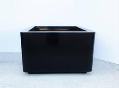 Six Vintage Contemporary Black Indoor/Outdoor Fiberglass Planters