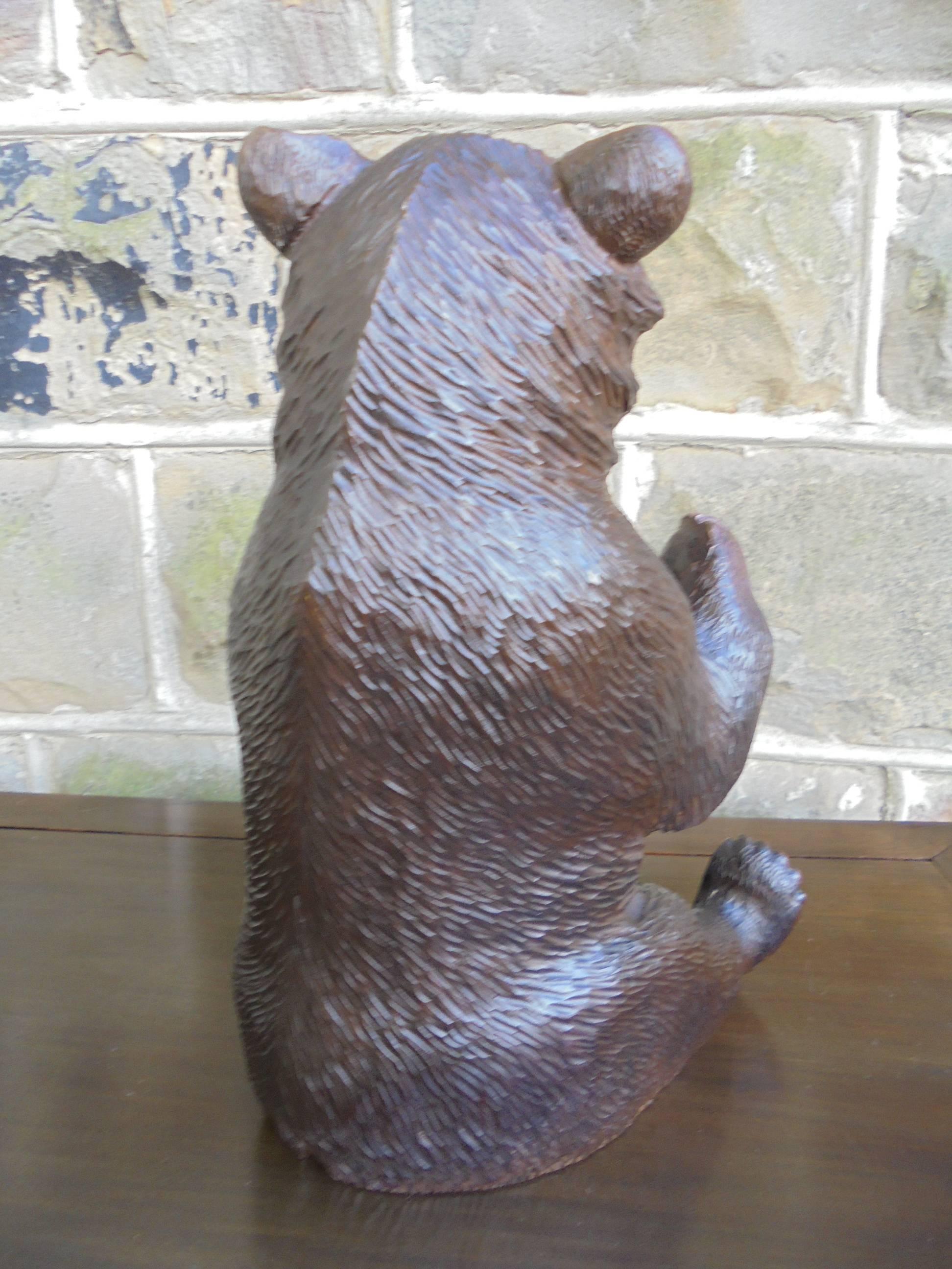 Antique Carved Black Forest Bear In Good Condition In Wakefield, GB