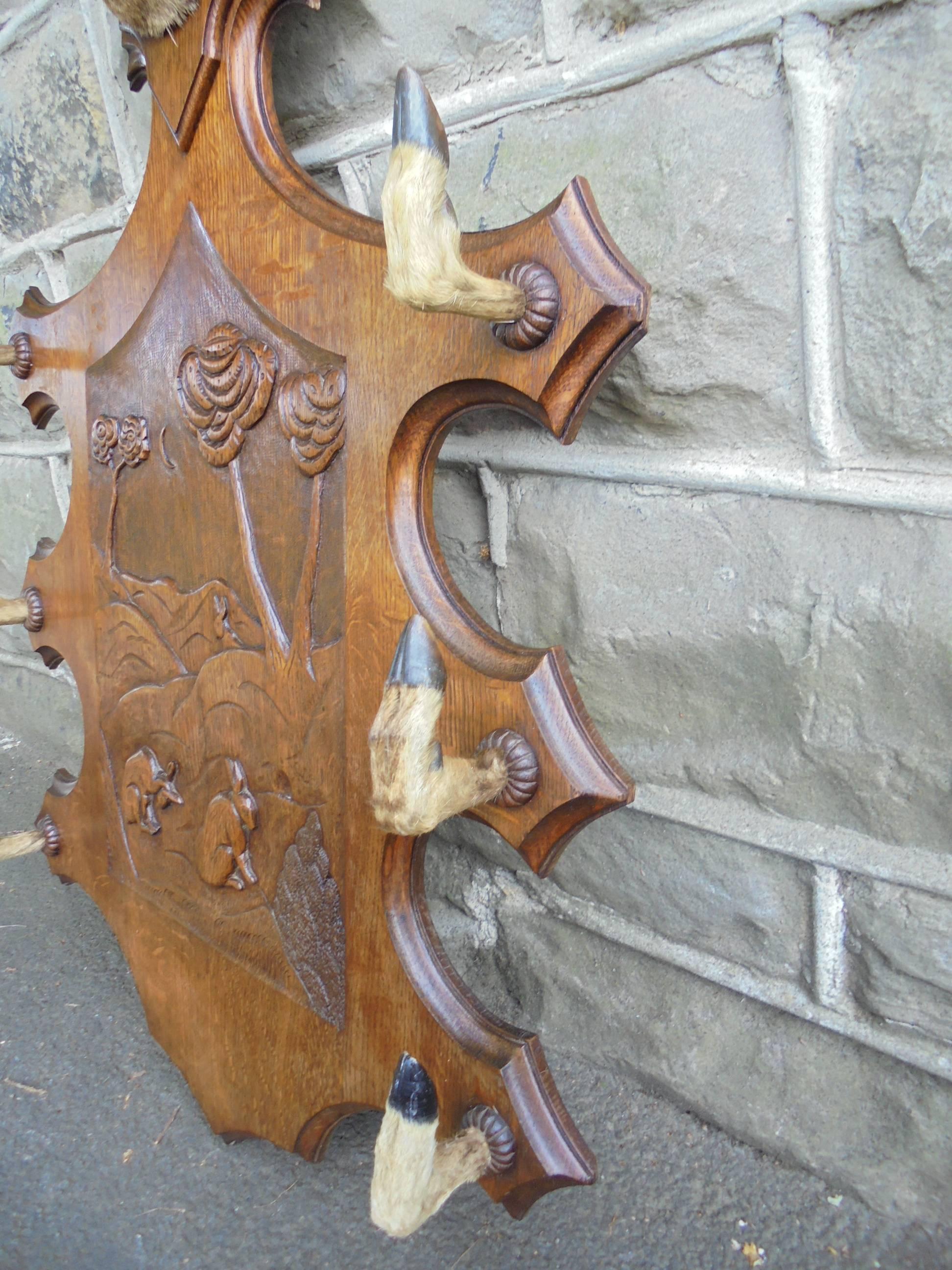 Great Britain (UK) Antique Oak and Taxidermy Wall Mounting Hat Coat Rack