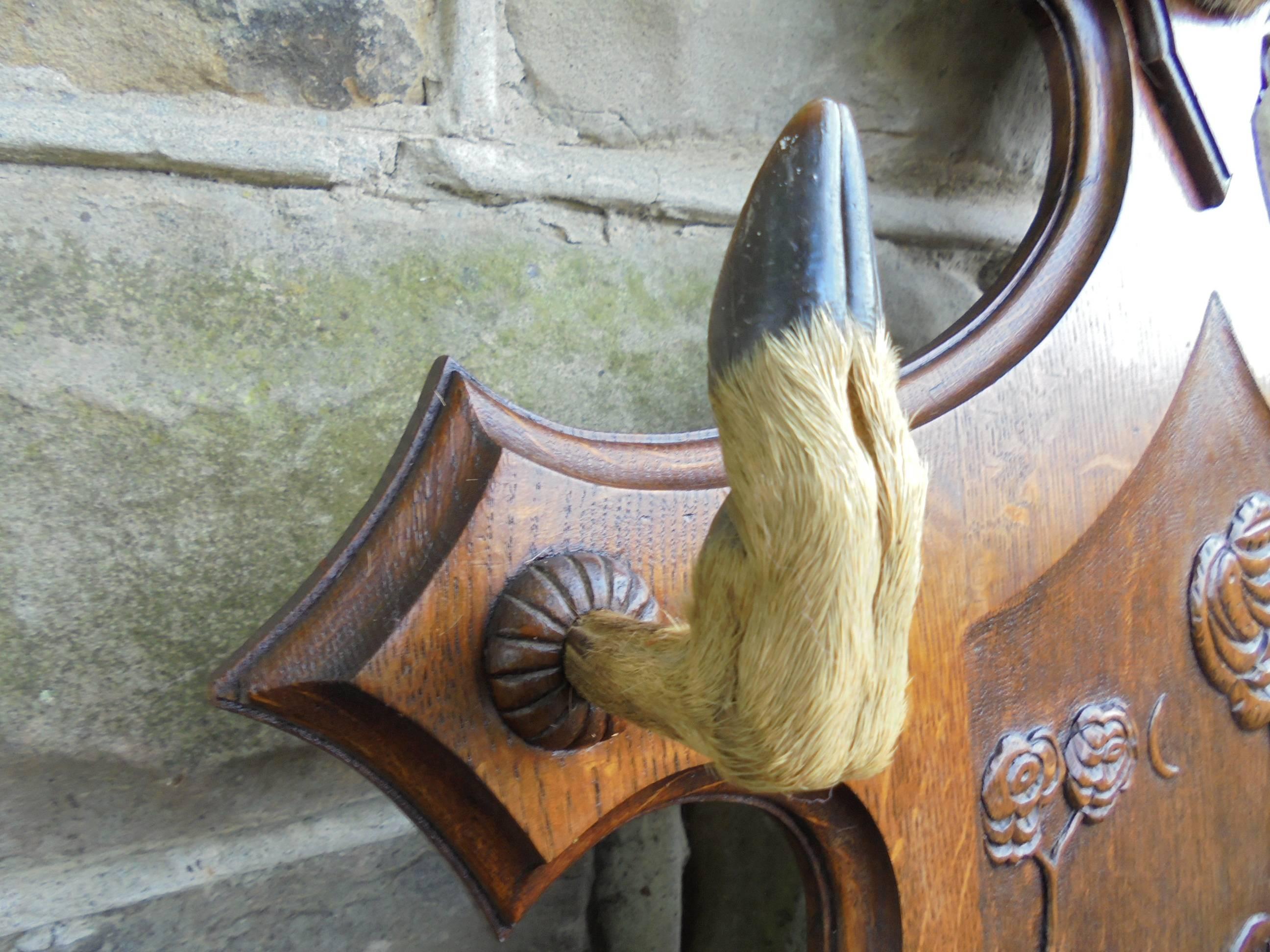 Fur Antique Oak and Taxidermy Wall Mounting Hat Coat Rack