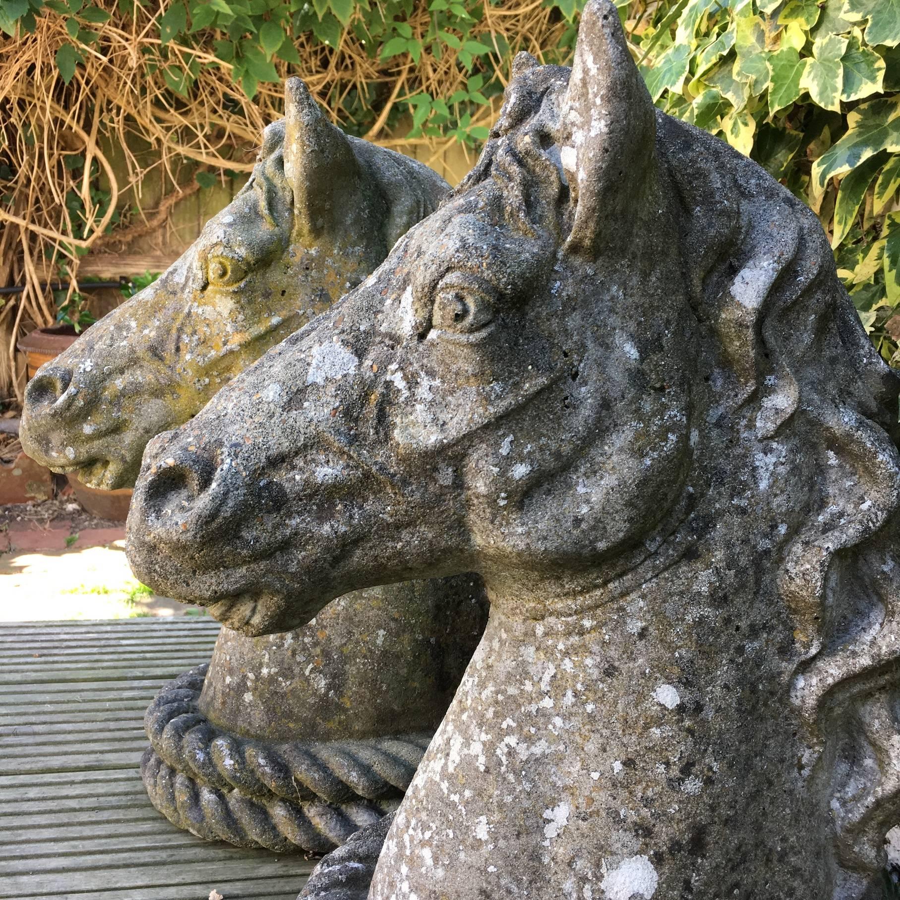 Beautiful pair of French concrete antique horses heads that would look amazing indoors or outdoors, at the entrance to your drive or front door, or just as a talking piece in your garden.
 
In beautiful condition.

Incredibly heavy so collection
