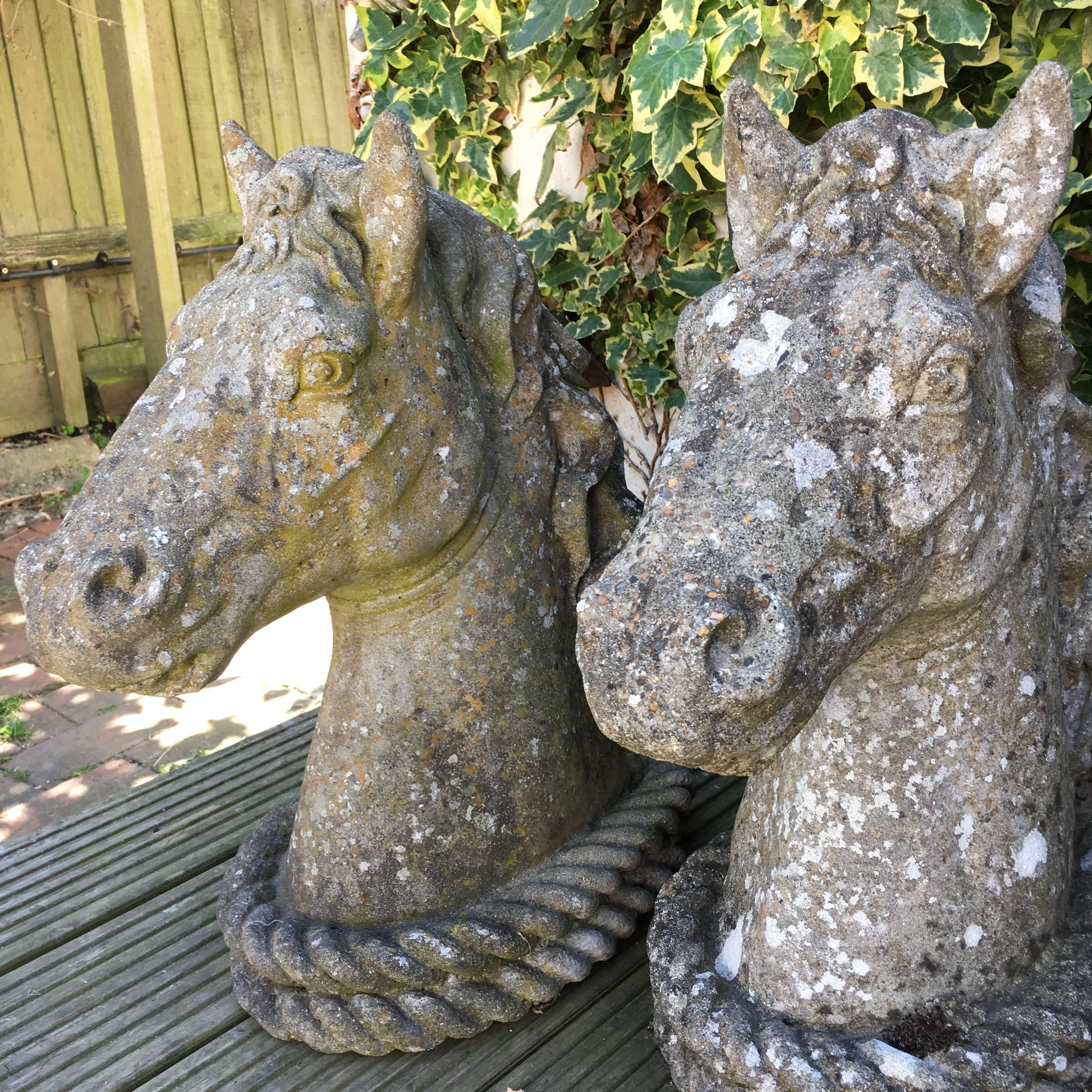 Mid-20th Century 19th Century Pair of French Antique Horses Heads Statues