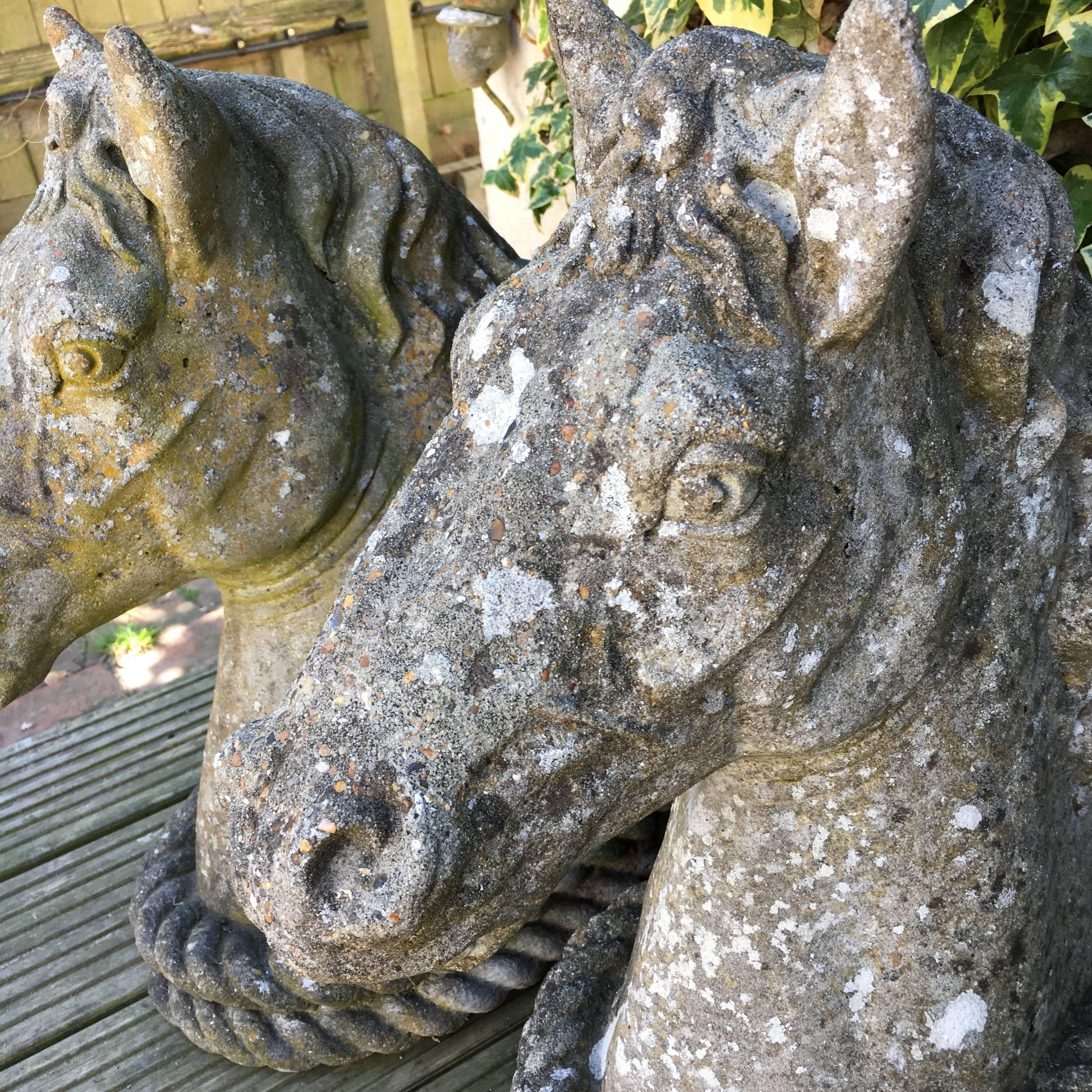 Concrete 19th Century Pair of French Antique Horses Heads Statues