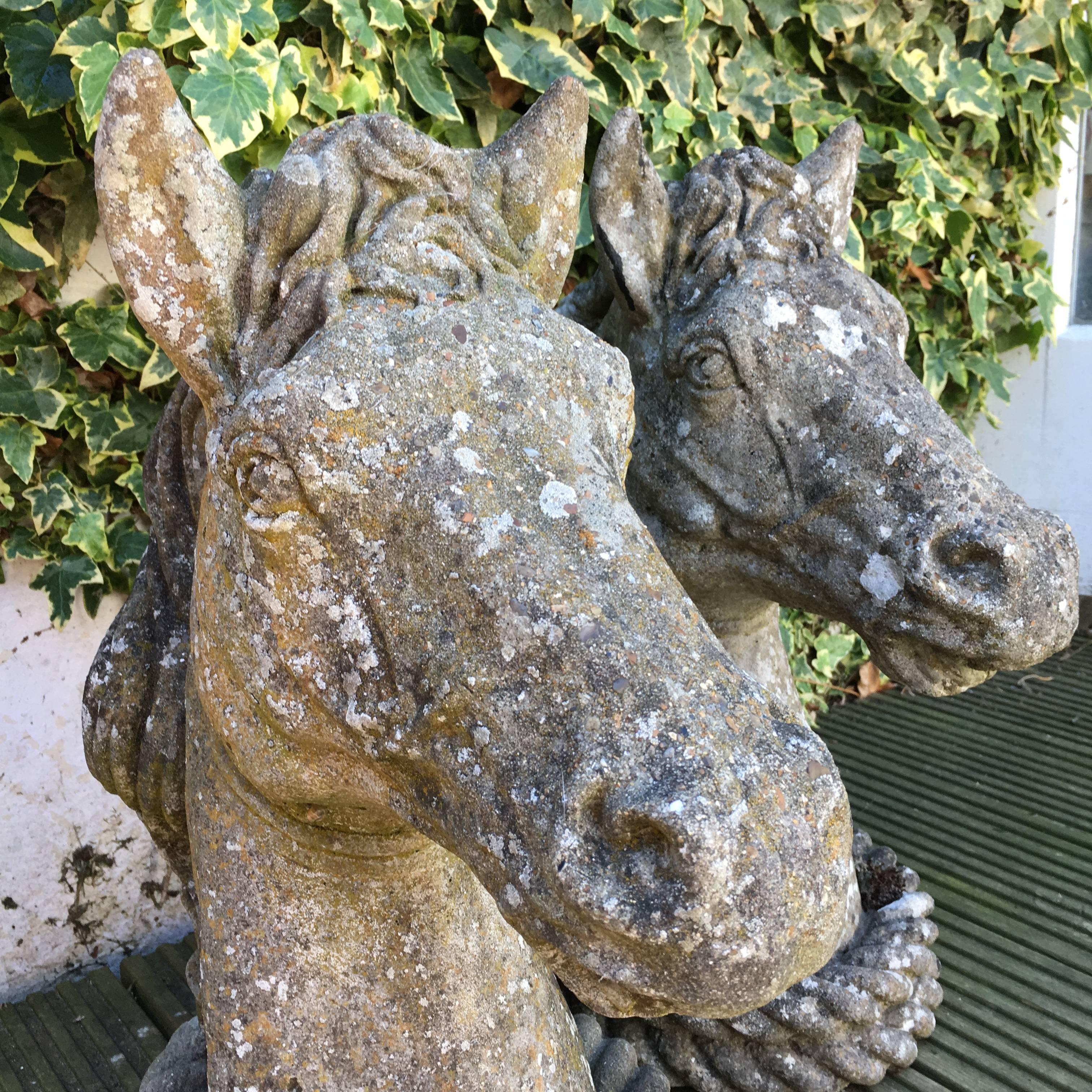 19th Century Pair of French Antique Horses Heads Statues In Good Condition In Hove, GB