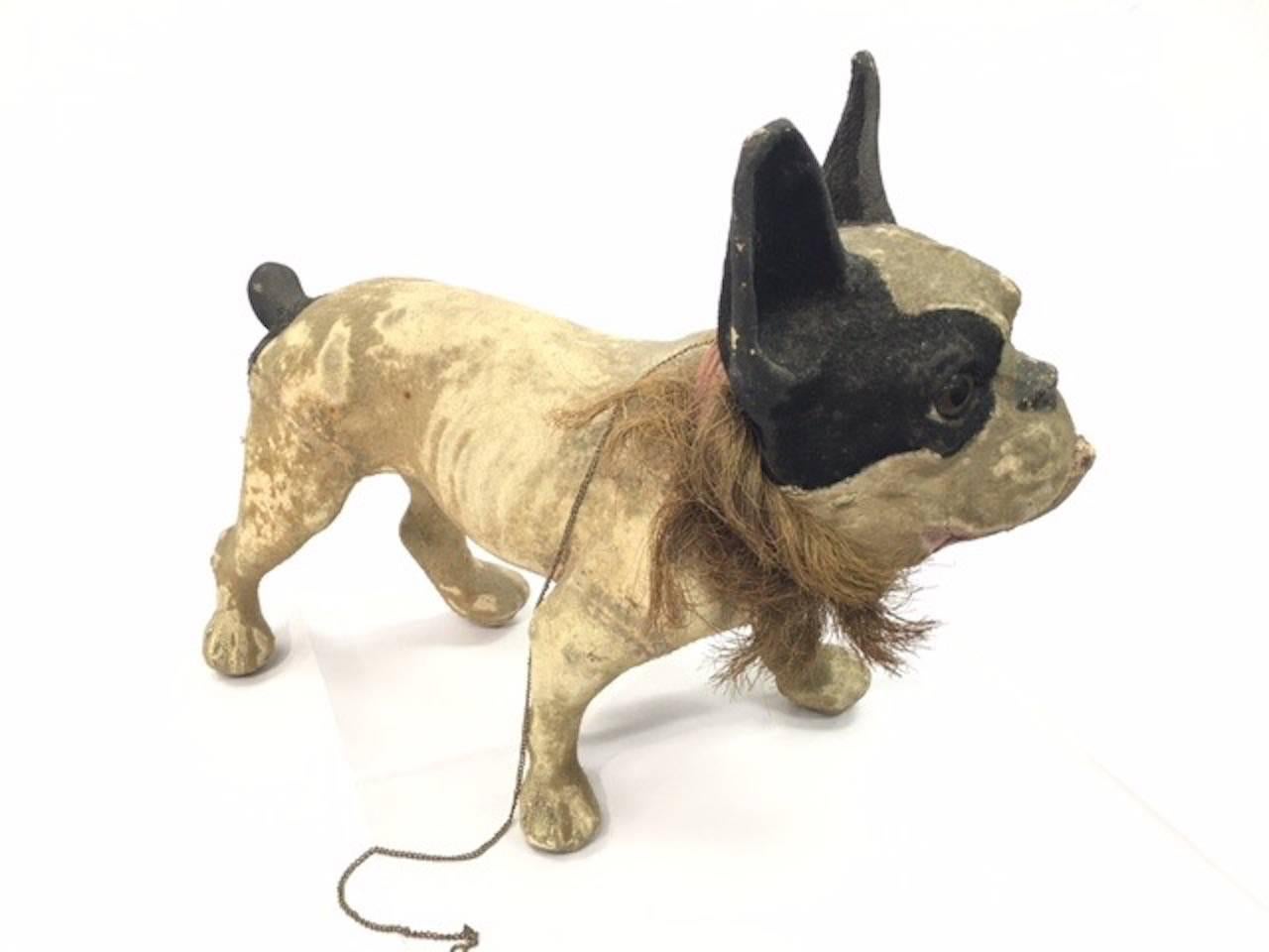 This Antique French children's toy is made of papier mâché and has a chain which leads him on his wheels and also makes him growl with his bobbing head. His mouth opens and he follows on the wheels on his feet. The chain also makes him bark. Very