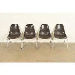 Charles & Ray Eames DSS Seal Brown Stacking Shell Chairs  Set of Four