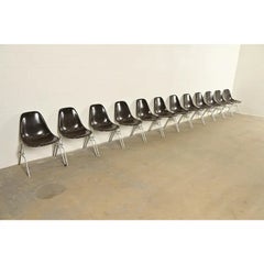 Charles & Ray Eames DSS Seal Brown Stacking Shell Chairs  Set of Twelve