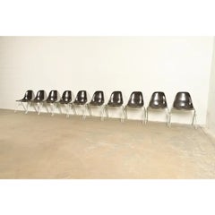 Charles & Ray Eames DSS Seal Brown Stacking Shell Chairs  Set of Ten