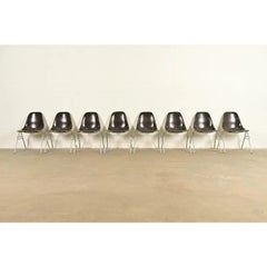 Charles & Ray Eames DSS Seal Brown Stacking Shell Chairs  Set of Eight