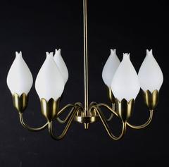 Danish Mid-Century Tulipan Brass Chandelier from Fog & Mørup, 1960s