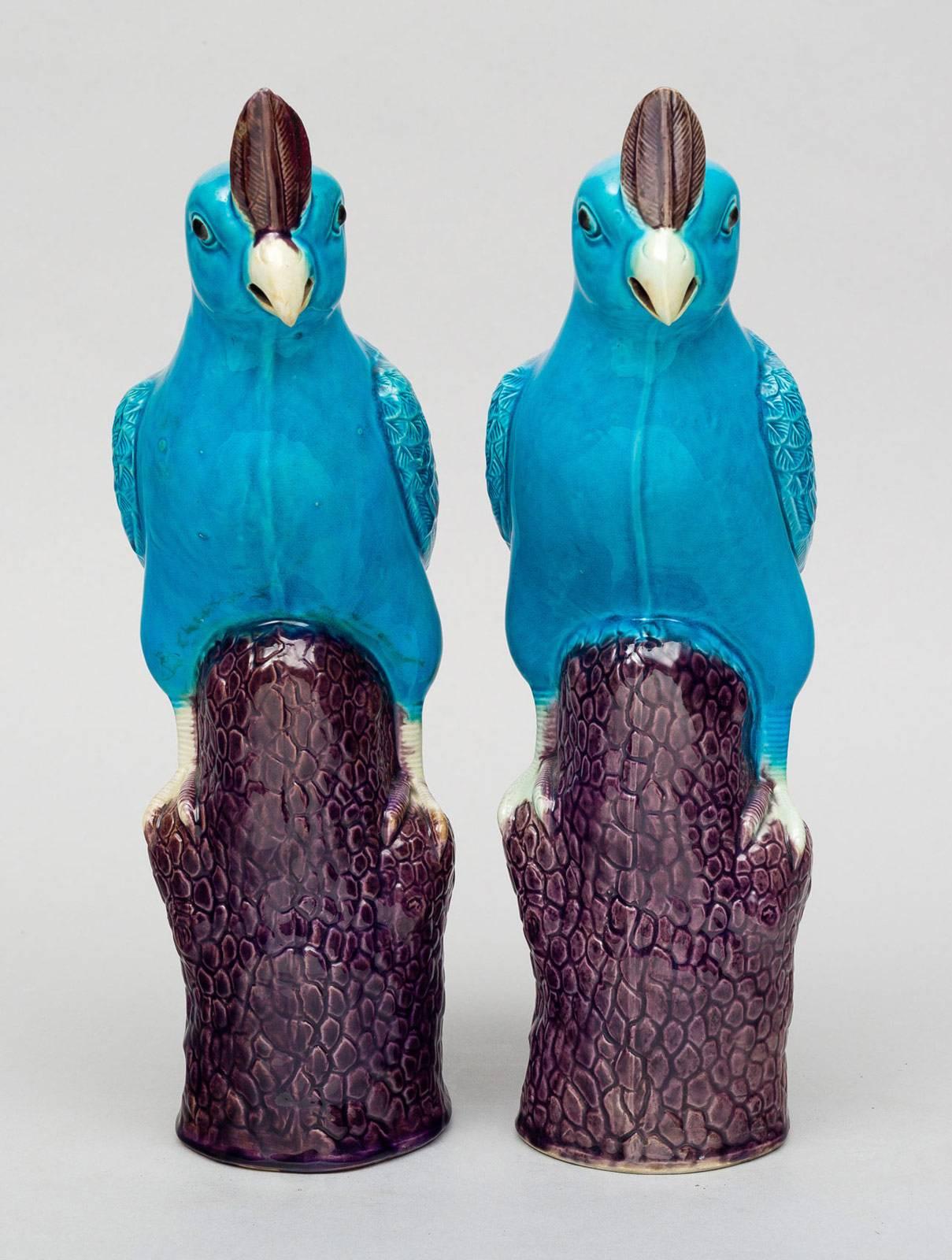 Glazed Pair of Chinese Turquoise Cockatoos For Sale