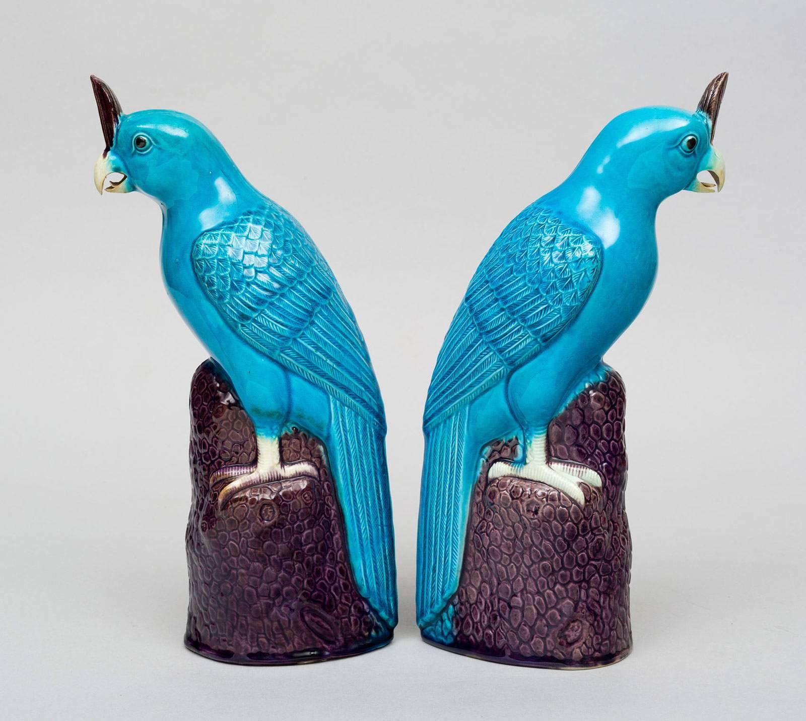 Pair of Chinese Turquoise Cockatoos In Excellent Condition For Sale In Sheffield, MA