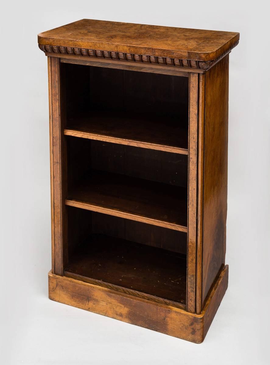 William IV pollard oak open bookcase with carved egg and dart decoration under the top with two adjustable shelves. It has a lovely patina and color.