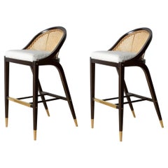 Set of 2 Contemporary Cane Back Counter Stool in Ebony