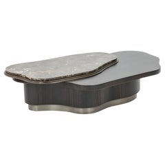 Amorphous Ebony Coffee Table with Layered Tops In Brass & Marble By José Castro