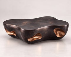 Biomorphic Coffee & Side Table Set in Blackened Bronze with Copper Leaf Cavities