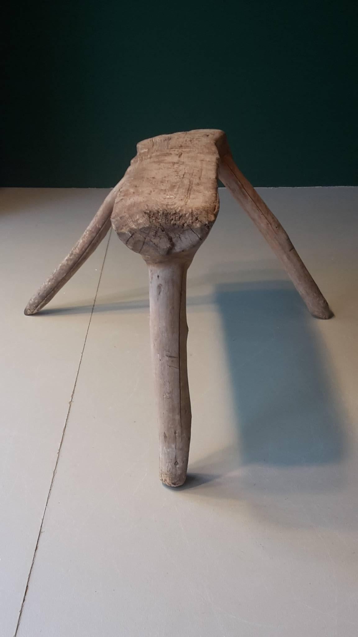 Early 20th century shepherd stool of the Savoy carved from the trunk of a fir tree.