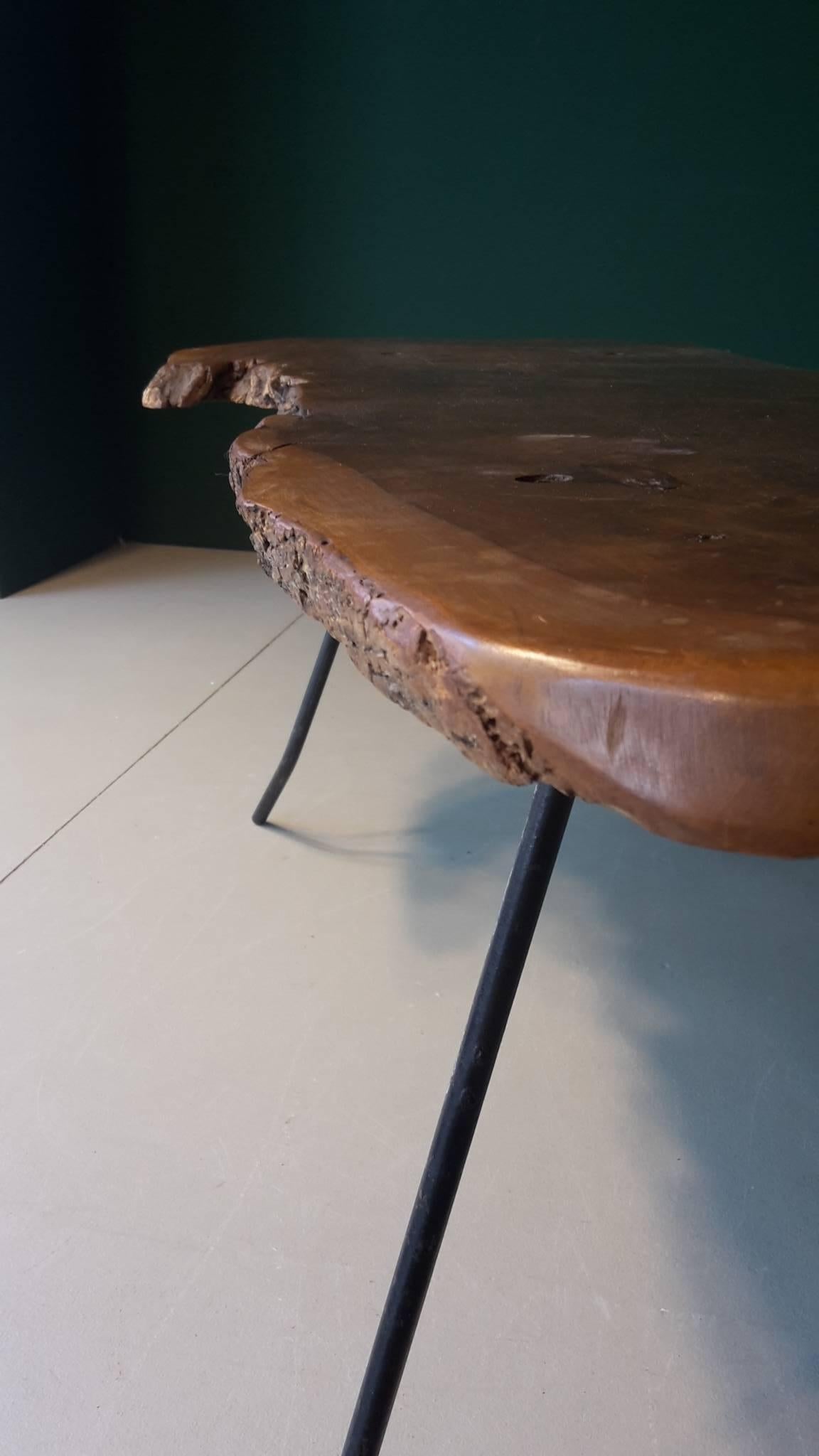 20th century French coffee table 1960s with tabletop made of olive tree and metal legs.