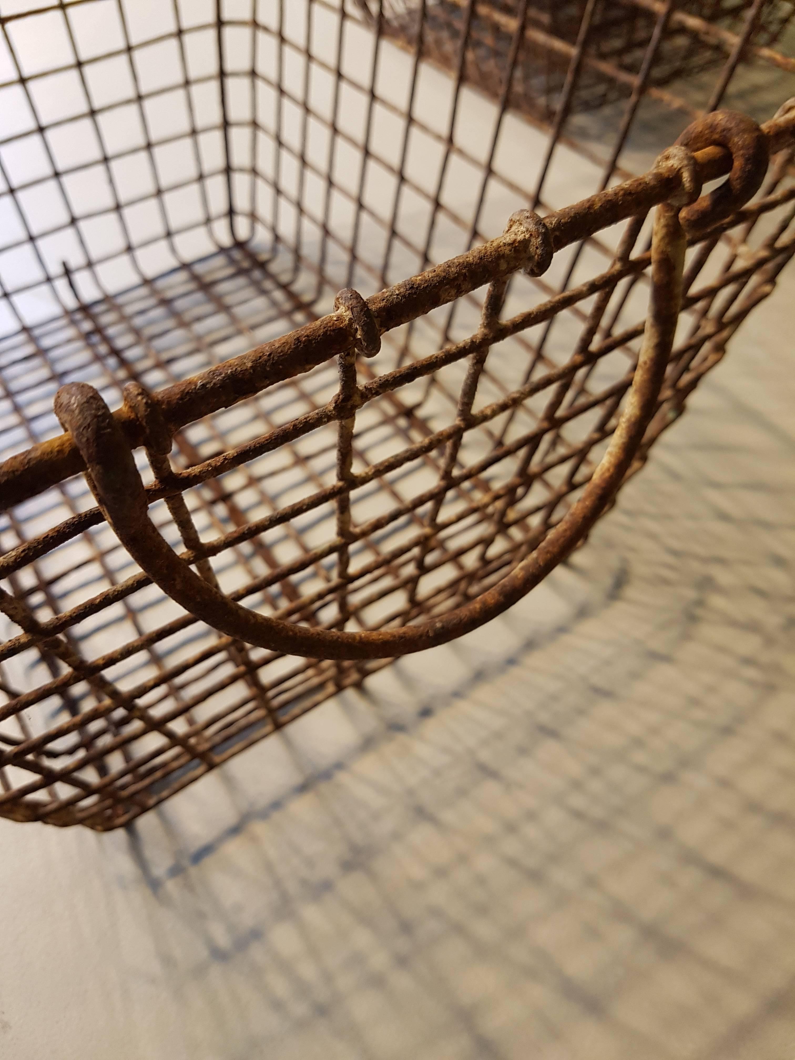 French 20th century oyster baskets made of metal.