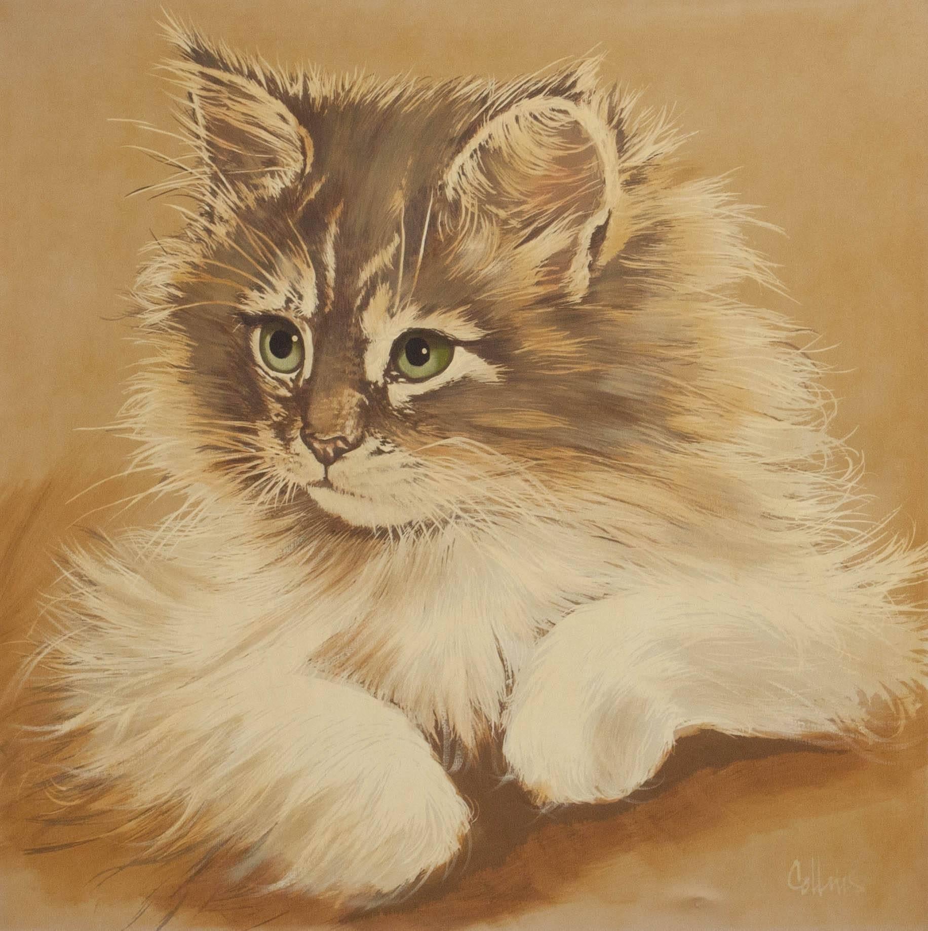 Decorative vintage cat work from the commercial Artmaster Studios formerly based in San Fernando, CA. Oil on canvas depicting a young Persian cat. Signed 'Collins'.