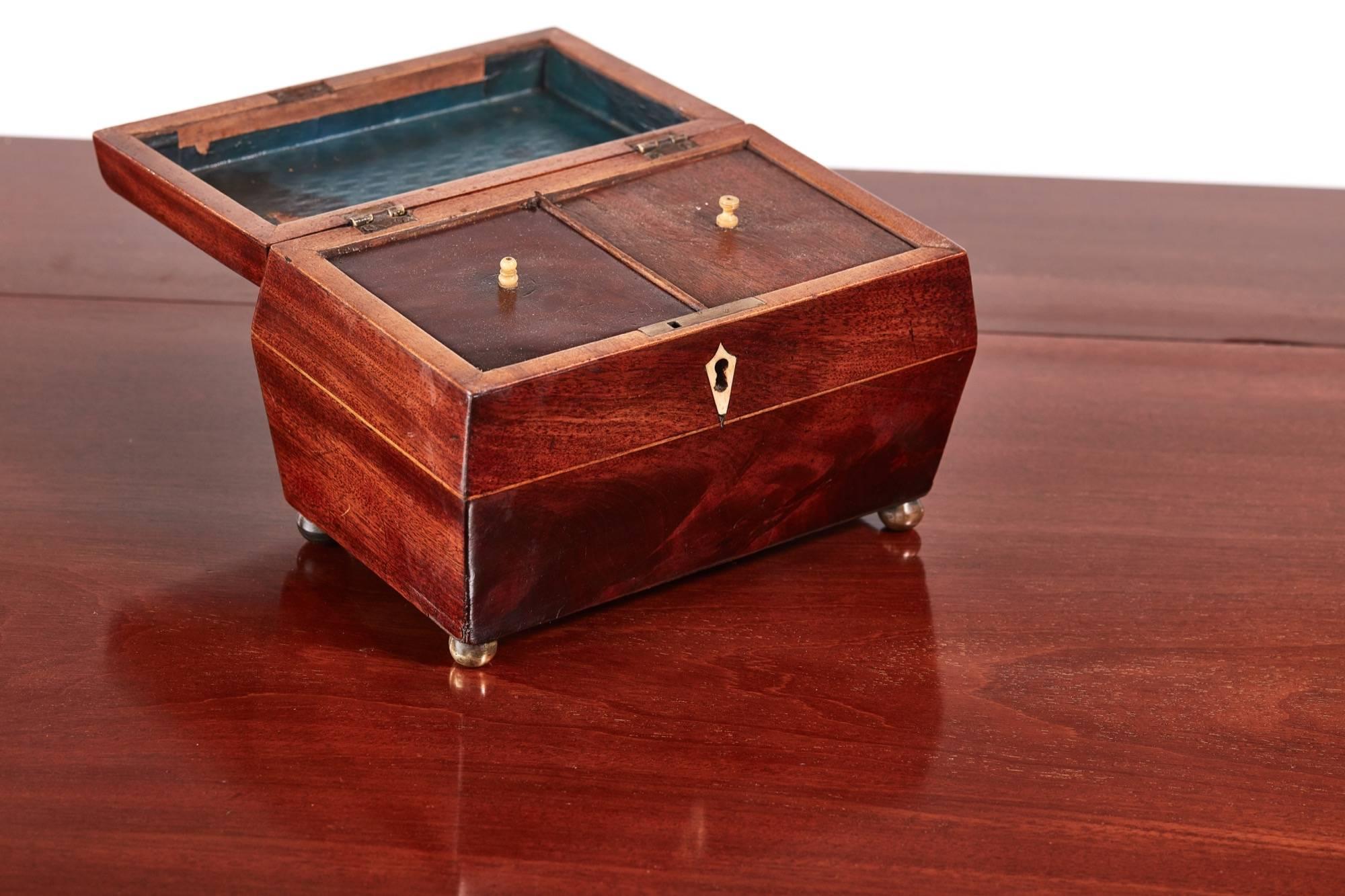 Antique mahogany sarcophagus shaped tea caddy, with a lift up lid, fitted interior, standing on original brass ball feet.