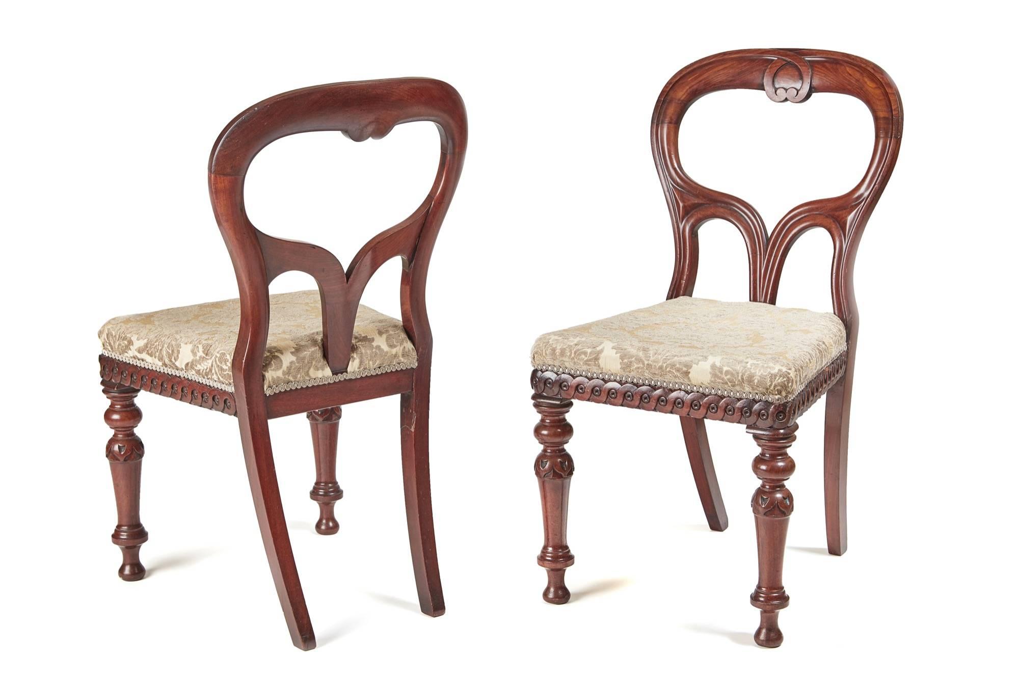 Outstanding quality set of six Victorian Scottish mahogany dining chairs, unusual balloon back with a shaped reeded centre, standing on a carved turned front legs outswept back legs, nice quality carving around the seats, newly re-upholstery in a