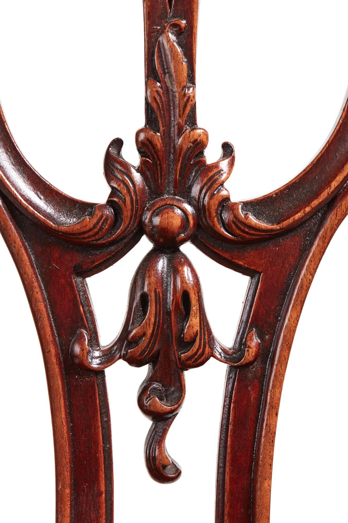 Fine Quality of Six Carved Mahogany Chippendale Style Dining Chairs 1