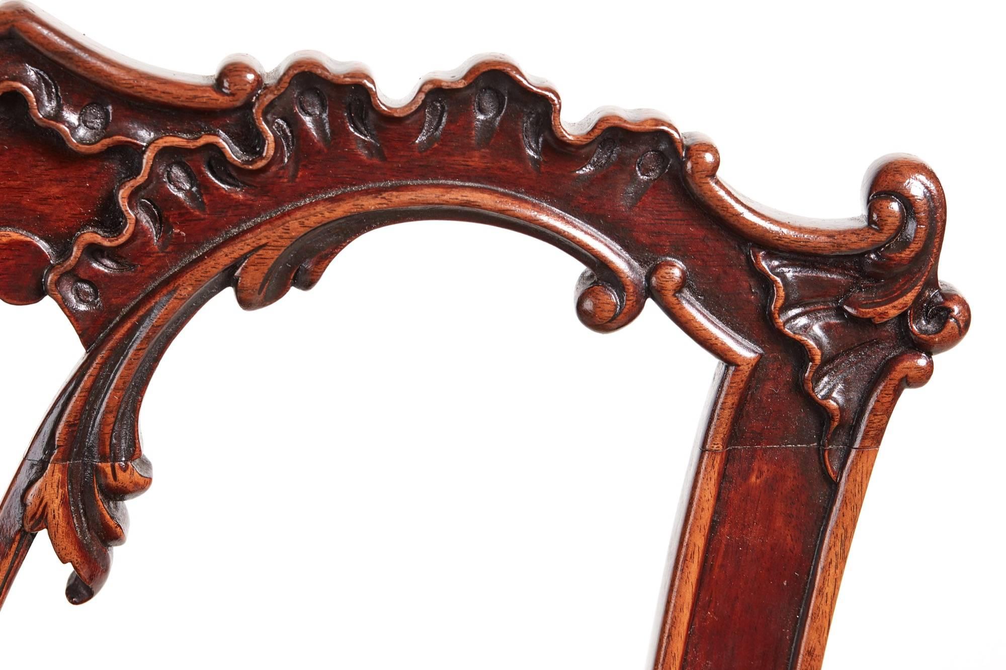 Fine Quality of Six Carved Mahogany Chippendale Style Dining Chairs 3
