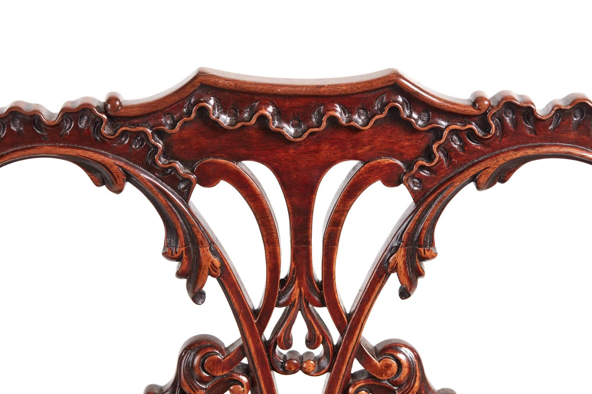 Fine Quality of Six Carved Mahogany Chippendale Style Dining Chairs 4