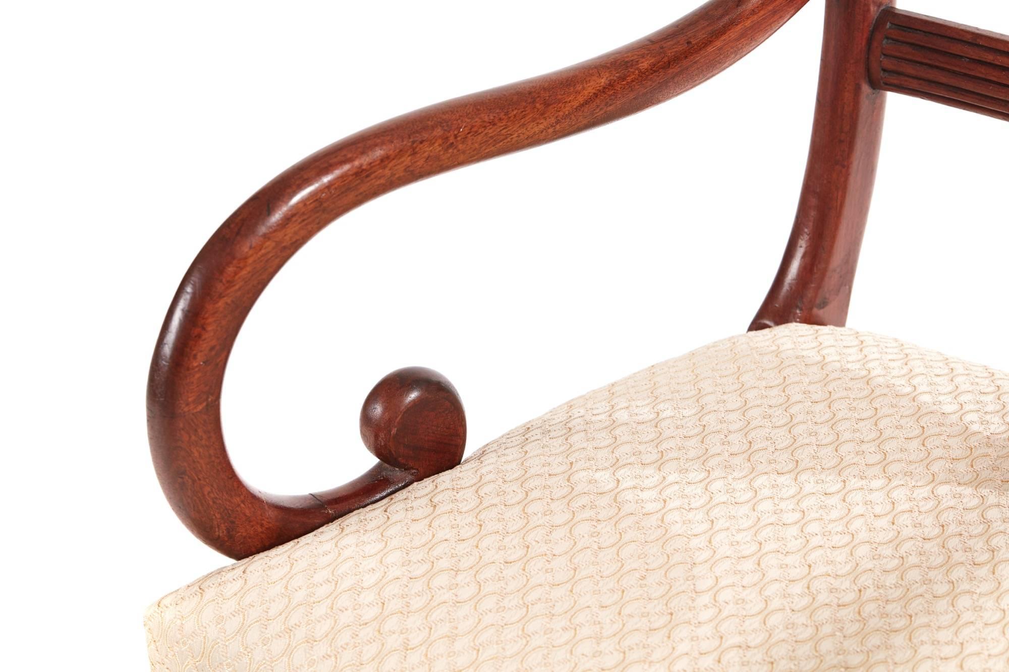 Regency mahogany sabre leg elbow chair, with a shaped reeded top rail, reeded centre splat, scroll shaped arms on sabre legs
Newly recovered seat
Lovely color and condition.