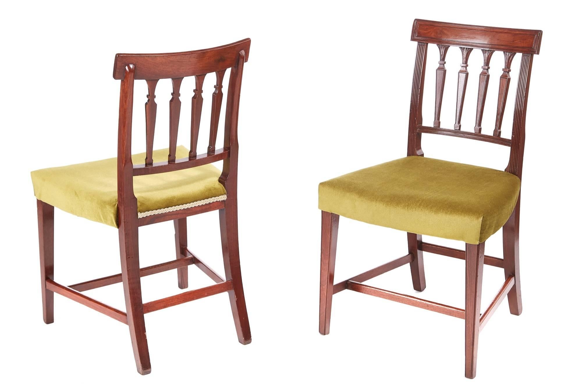 Fine set of six Georgian mahogany dining chairs, with a shaped reeded top rail, four reeded and carved splats to the centre, reeded upright, newly recovered seats, standing on square tapering legs to the front outswept back legs united by four